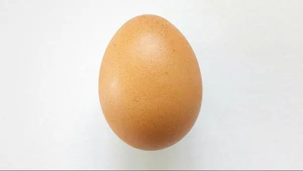 عکس یک تخم مرغ رکورد کایلی جنر را شکست!