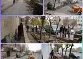 پیاده رو خیابان شوش نونوار شد 