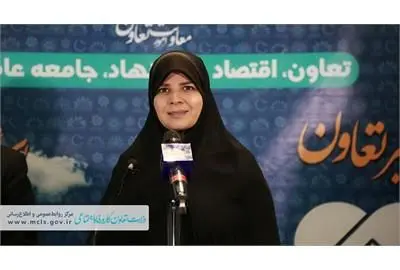  اشتغال زنان با محوریت الگوی تعاون در مجلس پیگیری می‌شود