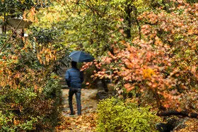 وضعیت دما و بارش کشور تا نیمه آذرماه