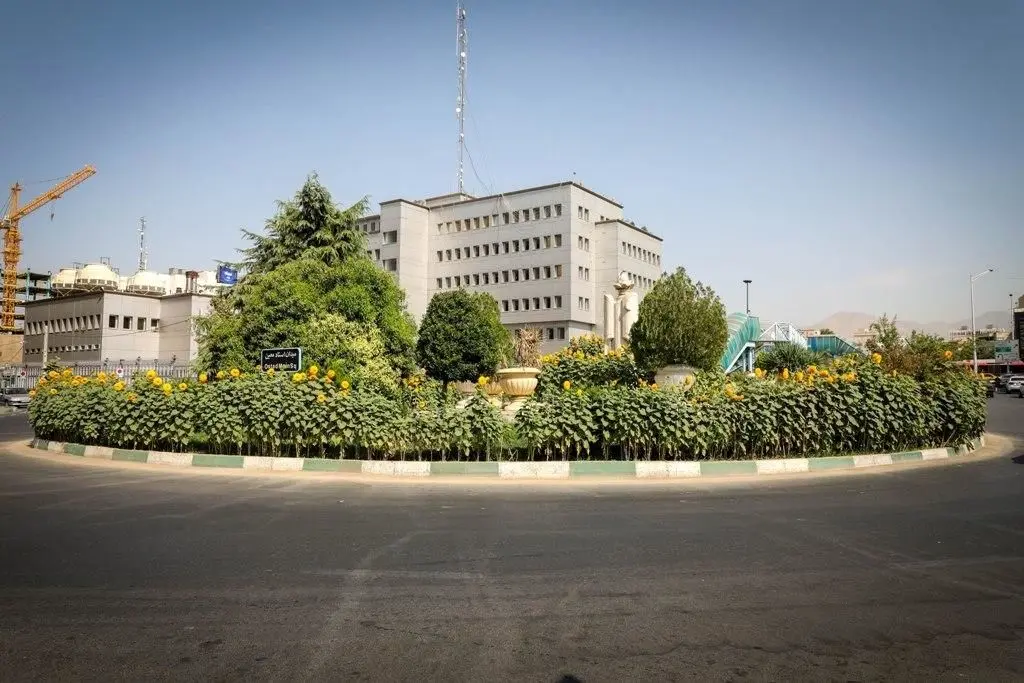 گل های آفتاب گردان منطقه9 هوای شهر را تصفیه می کنند

