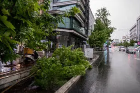 رگبار پراکنده و وزش باد موقتی در راه اغلب استان‌های کشور

