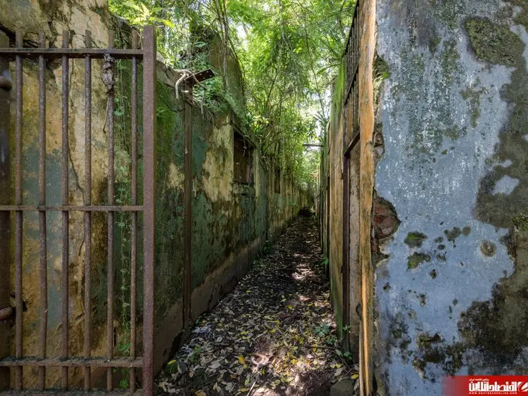 جزیره شیطانی+تصاویر 