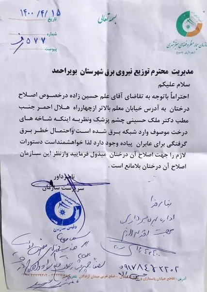 توضیحات مسئولان در خصوص قطع درختان خیابان معلم یاسوج