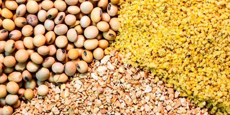 جزییاتی از آمار واردات نهاده های دامی در ۱۱ ماهه ۱۴۰۱