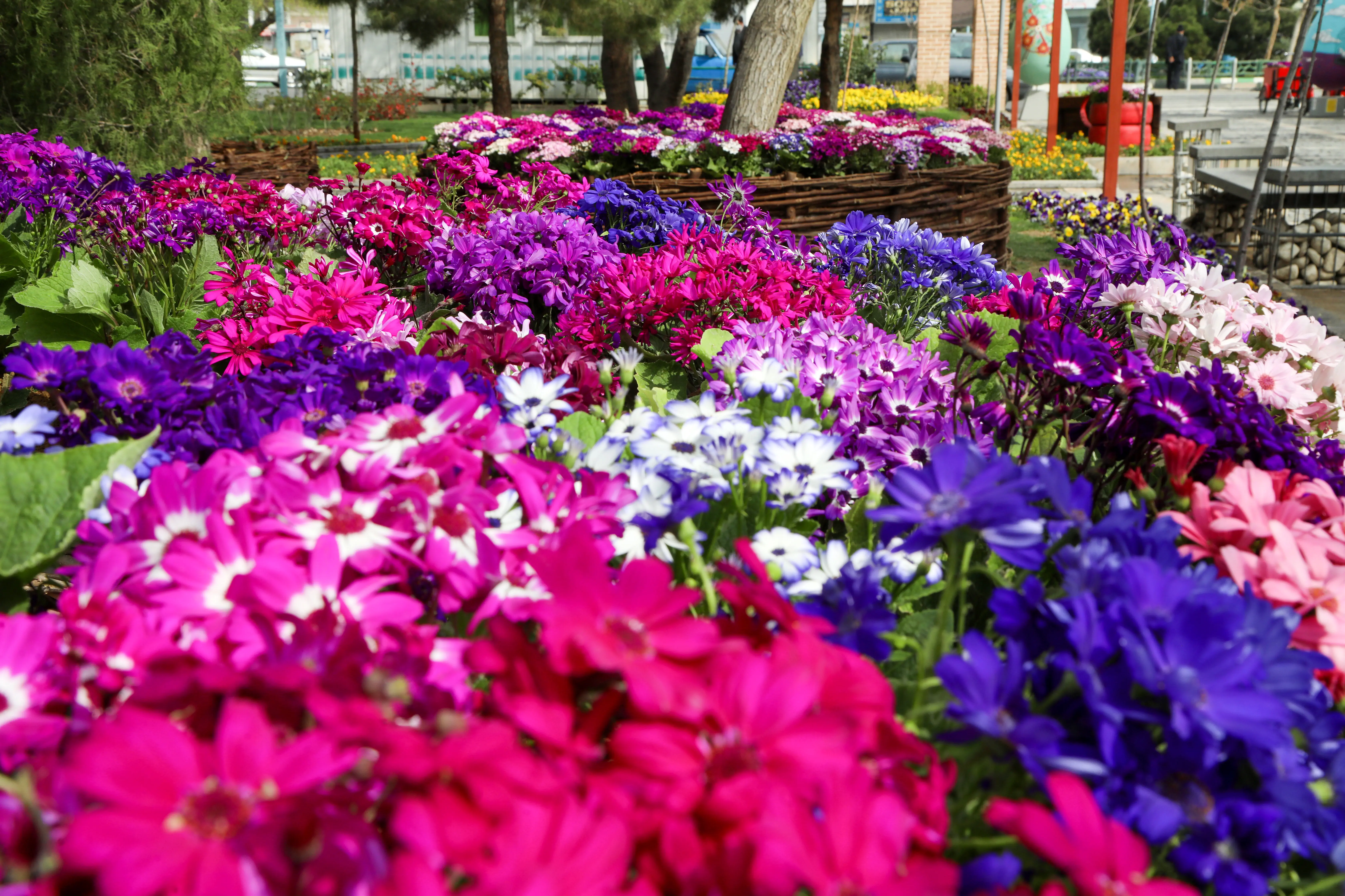 بیش از 2 هزار متر مربع گل کاری درمنطقه 17
