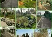 توسعه فضای سبز سه راه سیمان و خاورشهر در جنوبشرق تهران