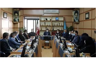 طرح "کاج" با جدیت بیشتر دنبال شود