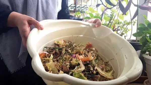 اجرای پویش تولید خشکاله در منطقه2