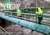 ‌زعفرانیه به عنوان محله دوستدار کودک آماده سازی می شود

