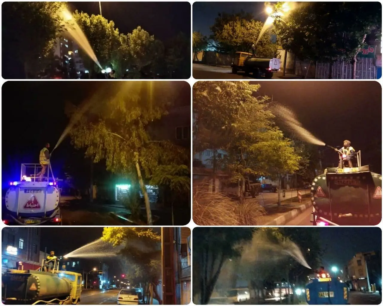  عملیات آبشویی درختان و فضای سبز شهری منطقه 15 