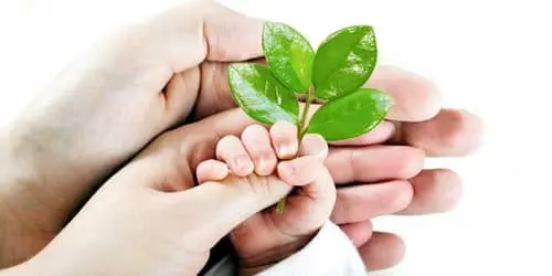 اعطای بیش از 414 میلیارد ریال وام قرضالحسنه فرزندآوری از سوی بانک سینا