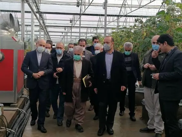 بازدید مدیرعامل بانک کشاورزی از گلخانه هیدروپونیک مشارکتی بانک کشاورزی در بوکان