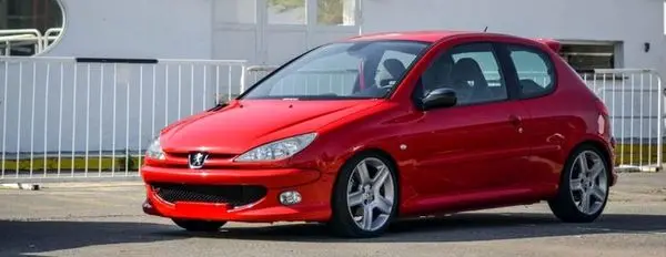 لاکچری ترین مدل های ۲۰۶ در ایران / ایرانی ها عاشق این مدل هستند