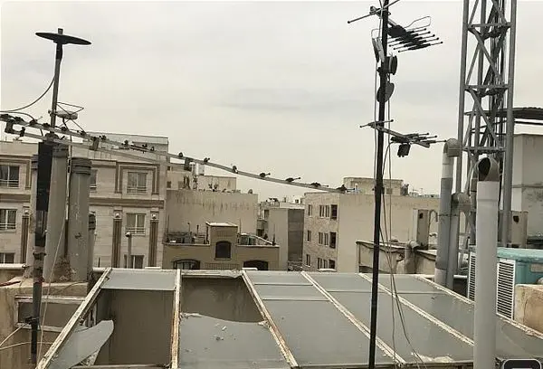 سقوط مرگبار مرد جوان از بالای برج مخابراتی +عکس