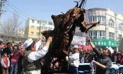 به سیخ کشیدن یک شتر درسته 450 کیلویی برای کباب+عکس