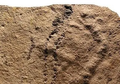 قدیمی ترین جاپای جهان + عکس
