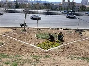  اجرای طرح فرش گل در حاشیه بزرگراه‌های منطقه22