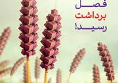 22 مهرماه؛ آخرین مهلت شرکت در یازدهمین جشنواره حساب‌های قرض‌الحسنه بانک اقتصادنوین

