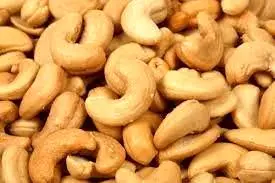 بادام‌ هندی‌های قاچاق هنوز جولان می‌دهند!
