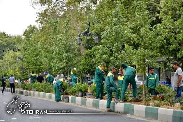 رفیوژ سبز خیابان شریعتی، سبز تر شد