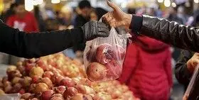 ذخیره ۵۰۰۰ تن میوه برای شب یلدا