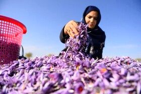 تسهیلات مشاغل خانگی ۵۰۰۰ میلیاردی شد

