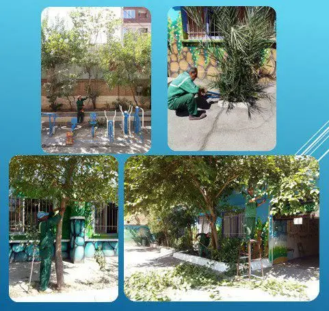 بهسازی فضای سبز 12 مدرسه منطقه 15