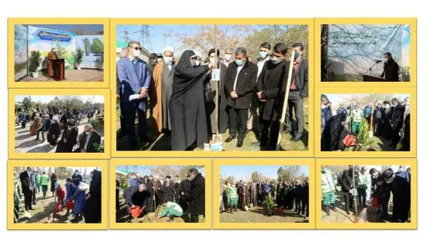 ‌ کاشت 110 درخت به نام شهدا در بوستان آزادگان منطقه 15

