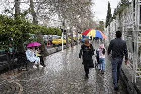 بارش باران و برف در برخی استان های کشور

