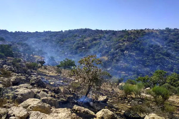 آتش سوزی منطقه حفاظت شده خائیز مهار شد