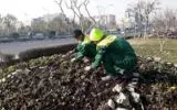 استقرار ۱۳ پایگاه توزیع نهال در منطقه۲