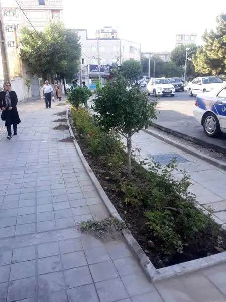 کاشت بیش از 9 هزار درختچه زینتی در منطقه 13