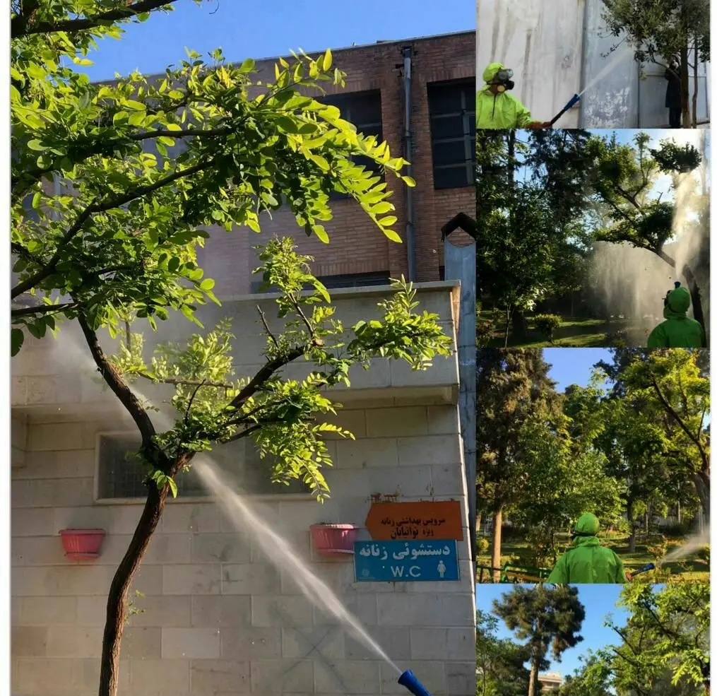 مقابله با آفات در منطقه۱۳ با تمرکز بر روش های دوستدار محیط زیست

