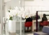 جهش چشمگیر پرداخت تسهیلات قرض‌الحسنه در بانک اقتصادنوین