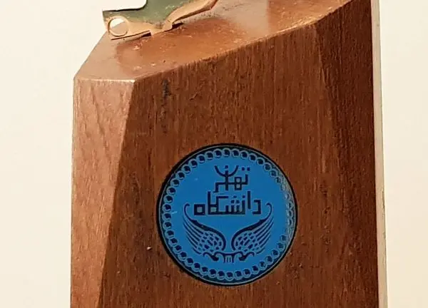 جایگاه نخست بیمه رازی در پنجمین دوره ارزیابی ملی تحول دیجیتال