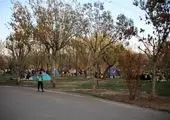 شمیم معطر نمازجماعت در سالروز شهادت مولای متقیان در بوستان های منطقه 4

