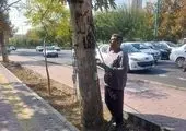 آغاز نصب تله های فرمونی در بوستان جنگلی سرخه حصار 

