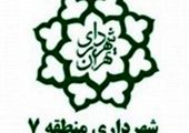 تقدیر رئیس و نمایندگان مجلس از قهرمانان کشتی