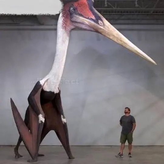 بازسازی ابعاد واقعی یک پرنده باستانی+عکس