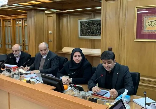 ‌‌ ایمن سازی گودهای پر خطر در بودجه 99 ردیف اعتباری گرفت

