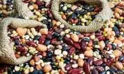ثبات بازار حبوبات با ثبت سفارش ۳۰ هزار تنی
