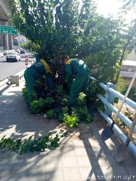 طرح ضربتی پاکسازی حاشیه بزرگراه صدر اجرایی شد 

