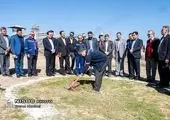 مشاور مدیرعامل در امور تولید و مسئول پیگیری طرح های زودهنگام تولید گاز منصوب شد