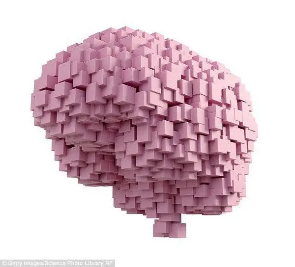 
تاثیر تحریک مغزی در بهبود حافظه جوانان
