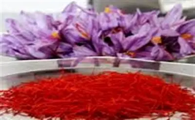 تالار محصولات کشاورزی میزبان عرضه 5 تن زعفران
