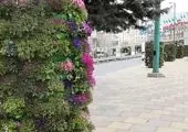 آغاز عملیات احداث بیش از ۸ هزار متر مربع فضای سبز در منطقه۱۳

