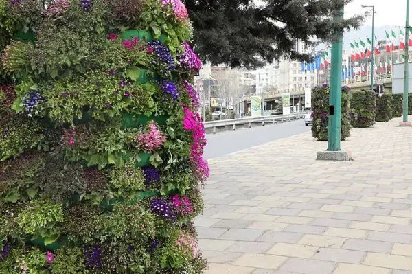 زیبایی های بهار در قابی از گلدان های شهری در معابر منطقه2 به تصویرکشیده شد

