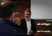 شناسایی فضاهای شهری برای ساماندهی دستفروشان و مدیریت حیوانات شهری 