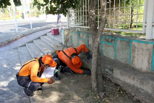 مبارزه با جانوران مضر شهری در شمال شرق تهران


